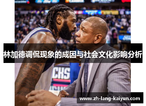 林加德调侃现象的成因与社会文化影响分析